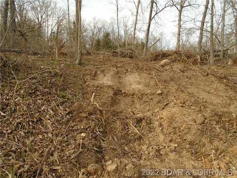 Lot 1 Rapid Hollow, Gravois Mills, MO 65037