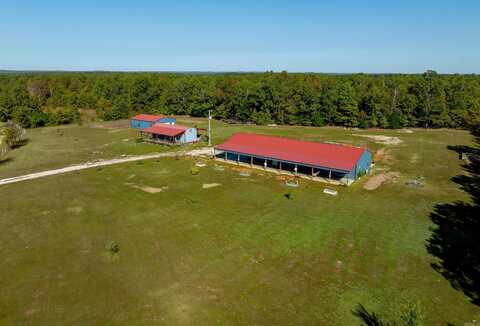 10 Strawberry Valley Rd Road, Ash Flat, AR 72513