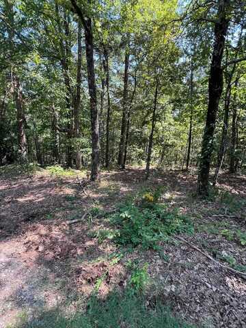 TBD Murcia Way, Hot Springs Village, AR 71909