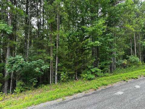 Lot 96 Cobalt Bay Drive, Shirley, AR 72153