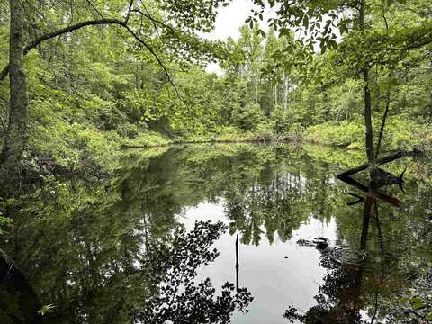 000 Oakdale Road, Lonoke, AR 72086