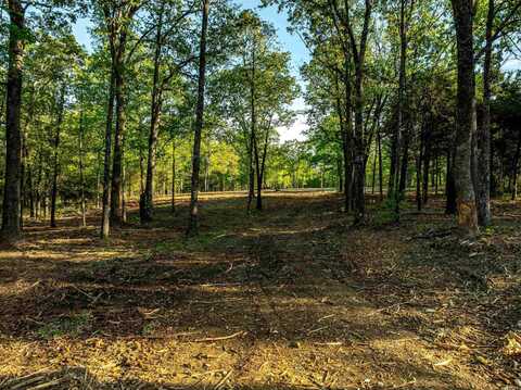 0 Nelsonville Rd, Poughkeepsie, AR 72521