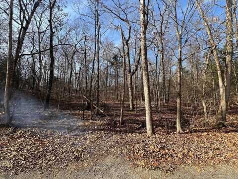 Lot 9 Kewe Drive, Cherokee Village, AR 72549