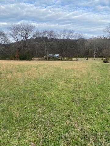 Lot 110R S Riverview Road, Mountain View, AR 72560