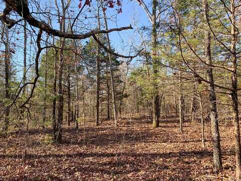 150 Odom Pt Road, Bee Branch, AR 72013