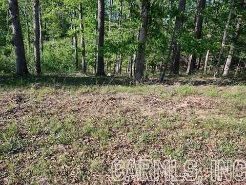 825 Independence, Hot Springs, AR 71913