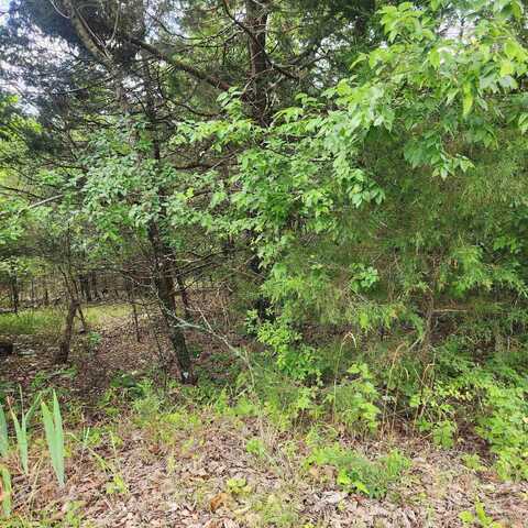L-22, B-4 Topez Drive, Cherokee Village, AR 72529