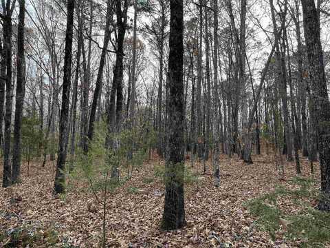 Lot 307 Tannenbaum Rd, Drasco, AR 72530