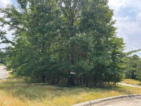 117 Dellmere Cove, Hot Springs, AR 71913