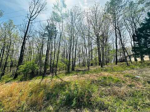 1428 St Andrews Drive, Hot Springs, AR 71913