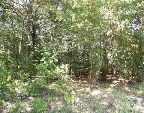 Lot 36 Glenwood Drive, Monticello, AR 71655