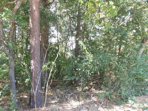 Lot 39 Glenwood Drive, Monticello, AR 71655