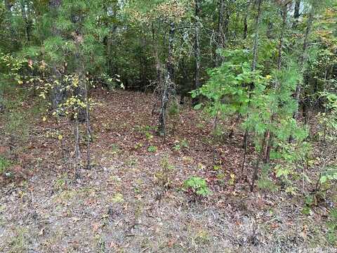 16 Loyola Drive, Hot Springs Village, AR 71909