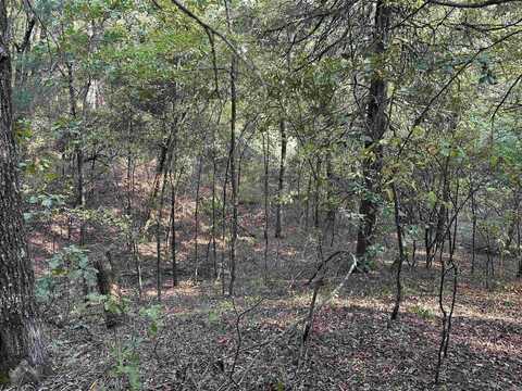 10 acres Highway 141, Paragould, AR 72450