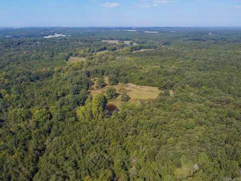 132 acres E Cardinal East Rd Road, Cave City, AR 72521