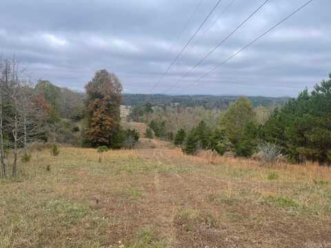 TBD Easement Rd off Polk 414, Hatfield, AR 71953