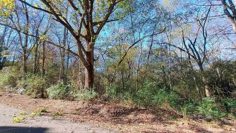 TBD Elmhurst, Hot Springs, AR 71913