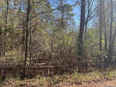 28 Zafiro Way, Hot Springs Village, AR 71909