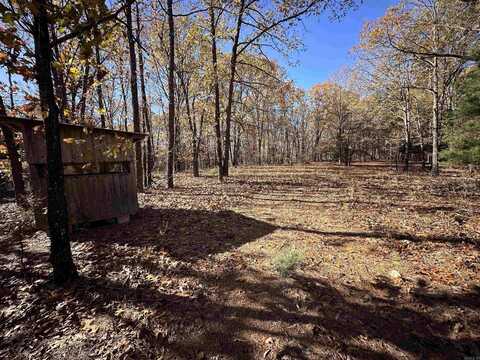 816 Dogwood Cr, Cave City, AR 72521