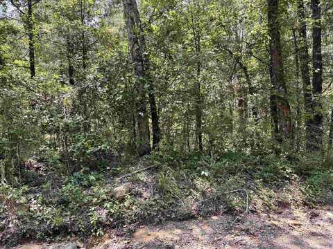 00 Bird Road, Solgohachia, AR 72156