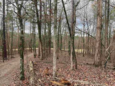 24 Darro Way, Hot Springs Village, AR 71909