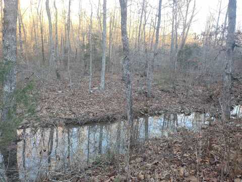 000 Monahan Road, Mountain View, AR 72560