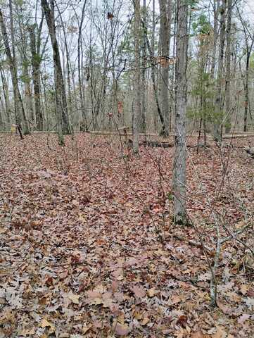 000 Sherwood Drive, Fairfield Bay, AR 72088