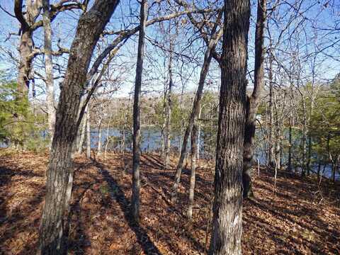 52 Isleta Drive, Cherokee Village, AR 72529