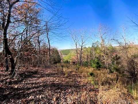 Bear Mountain Road, Greers Ferry, AR 72067