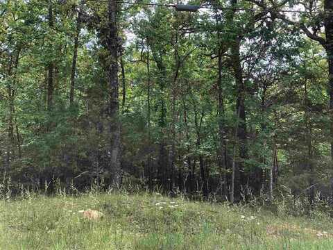 Chetopa Drive, Cherokee Village, AR 72529