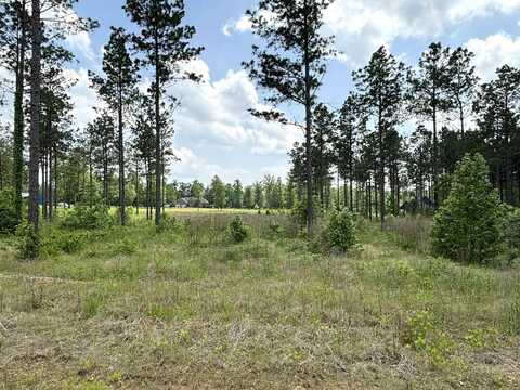 lot 18 Grant County Road 761, Sheridan, AR 72150