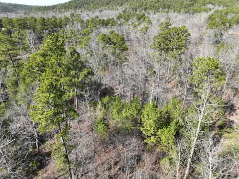 Tract 11 Big Fork Mountain Valley Lane, Mena, AR 71953