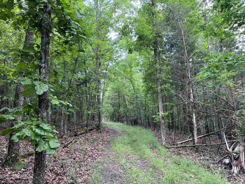 Meadow Creek Drive, Harrison, AR 72601