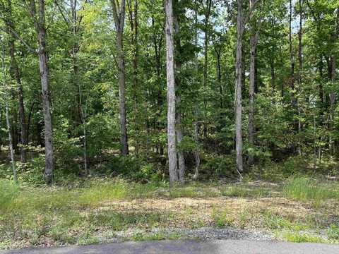 lot 23 Grant County Road 763, Sheridan, AR 72150