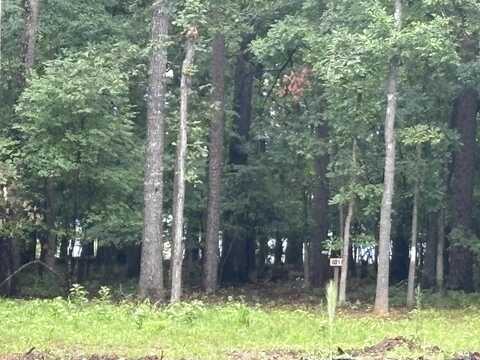 Lot 32 Silver Shores Lane, Drasco, AR 72530