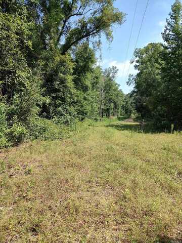 80 acres Calhoun 199 Road, Hampton, AR 71744