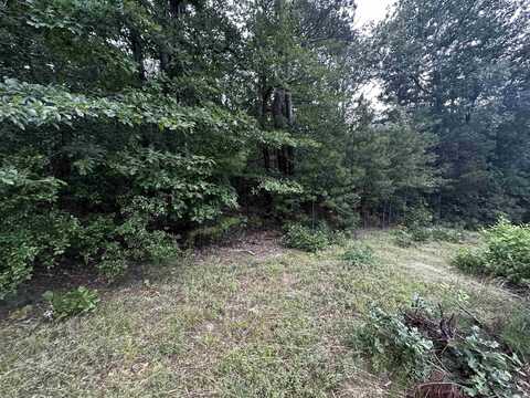 Lot 46 Cobalt Bay Drive, Shirley, AR 72153