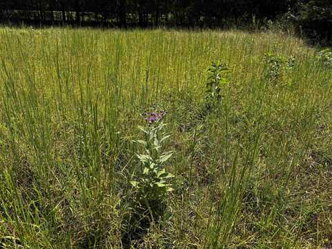 TBD Lynda Lane, Oden, AR 71961
