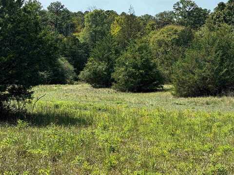 TBD Lynda Lane, Oden, AR 71961