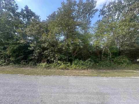301 W Lansing, Horseshoe Bend, AR 72512