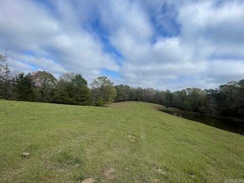 TBD Easement Rd off Polk 295, Hatfield, AR 71953