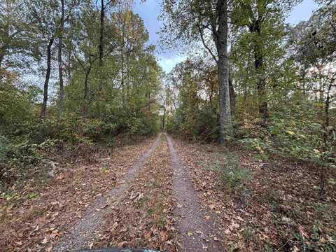 0 Highway 270 West, Prattsville, AR 72129