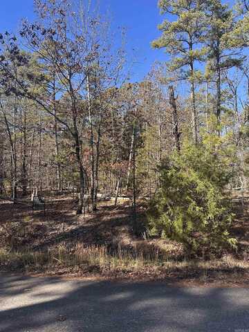 undefined, Hot Springs Village, AR 71909