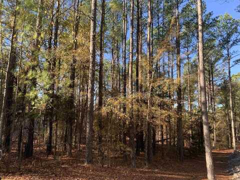 25 Victoria Lane, Hot Springs Village, AR 71909