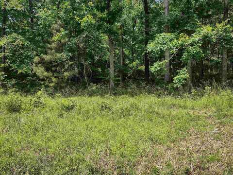 Lot 14 Toledo Drive, Hot Springs Village, AR 71913