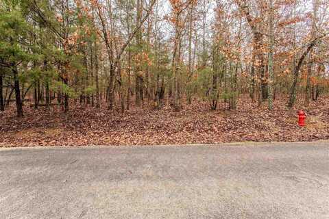 TBD San Ildefonso Cir Circle, Cherokee Village, AR 72529