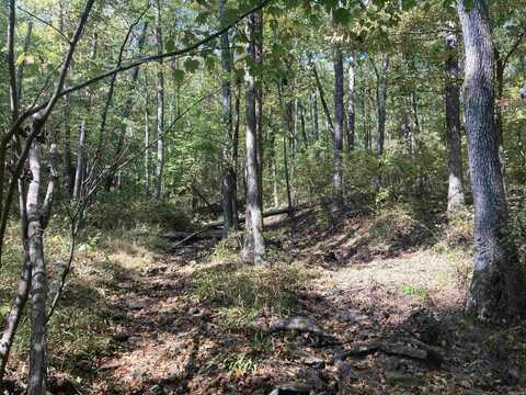 000 Mossy Ridge Rd., Mountain View, AR 72560