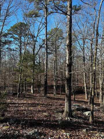 00 Squirrel Rd Lot B, Alexander, AR 72002