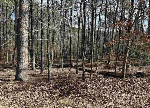 TBD La Janda Circle, Hot Springs Village, AR 71909