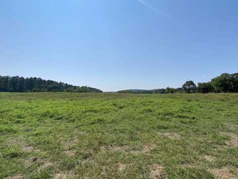 3784 Old Caddo Gap Road, Bonnerdale, AR 71933